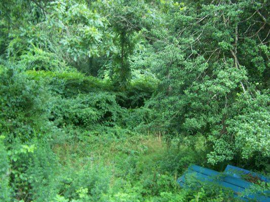 Richards Tree Service