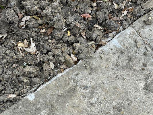 Blue Dot Heating, Air, Plumbing & Electrical