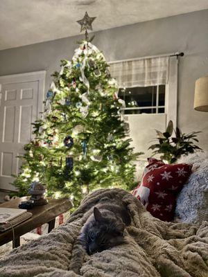 The Plant Foundry Nursery & Store