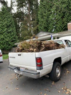 Trailer Trash Junk Removal "You Call We Haul"