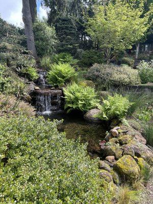 Viridian Landscaping