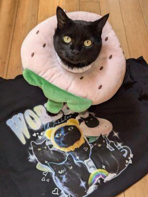 Spectrum Designs Foundation