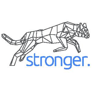 Stronger International Inc