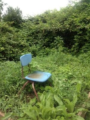 Squires Meat & Livestock