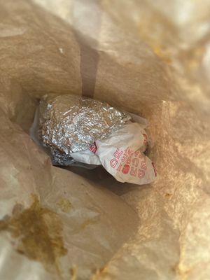 The Clark Street Dog