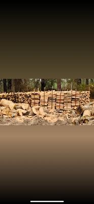 Best Price Tree Service