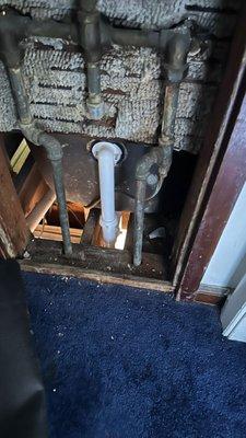 Ally Plumbing and Sewer