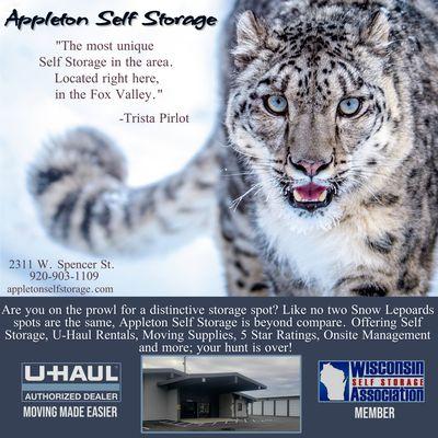 Appleton Self Storage