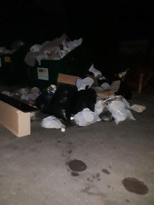Our dumpster area