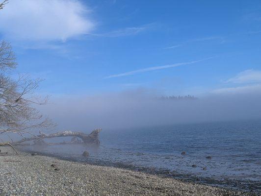Shine Tideland State Park