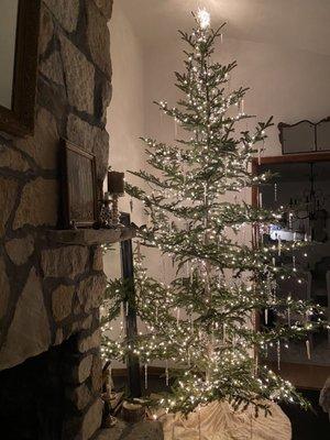 Edwards' Christmas Tree Farm