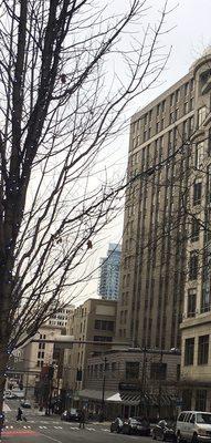 Lloyd Building