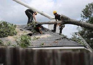Pensacola Tree Service