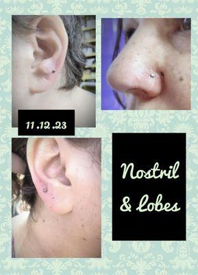 Nostril and lobes piercings by apprentice Shelby