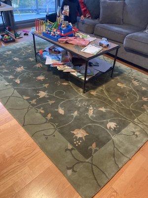 Israel Carpet Cleaning