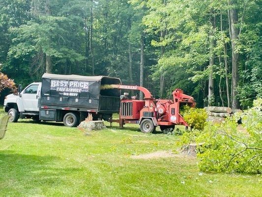 Best Price Tree Service