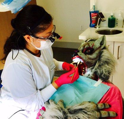 I broke a tooth on that last politician.