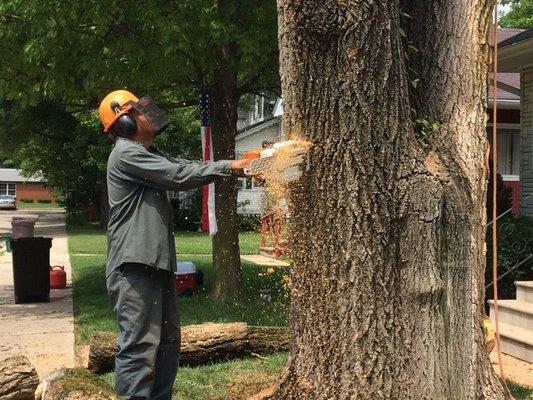 River Landscaping & Tree Service