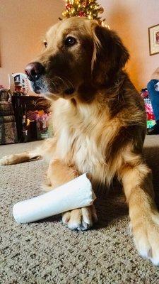 West Winds Veterinary Services