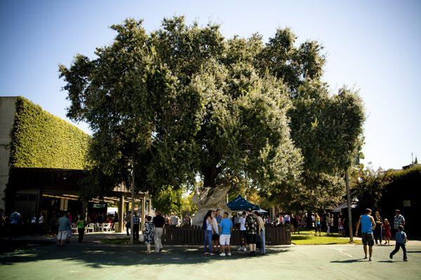 First Baptist Church