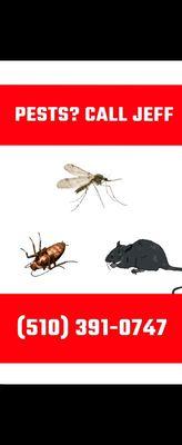 Jeff Pests