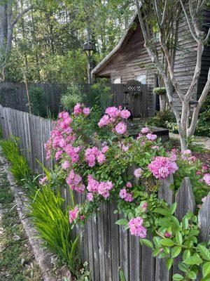 Green Day Landscaping
