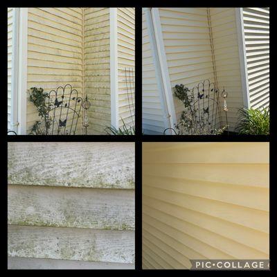 FlawlessFinish Cleaning Solution