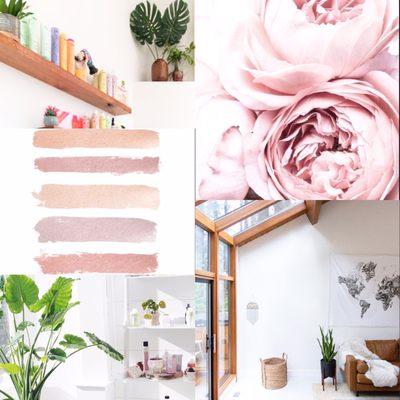 Basic Salon