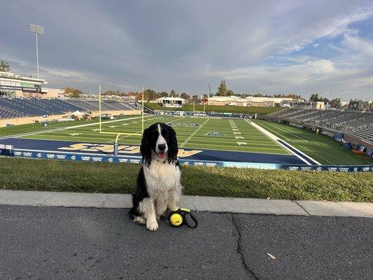 UC Davis Health Stadium