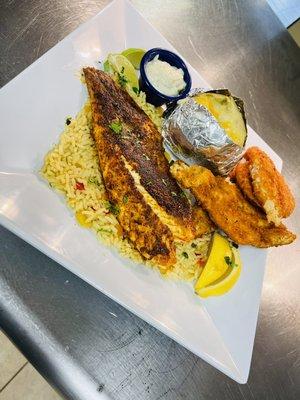 Red Drum on a bed of rice!