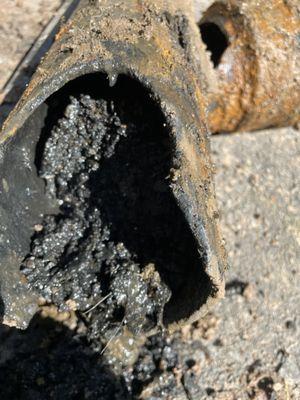 Pure Water Plumbing & Rooter