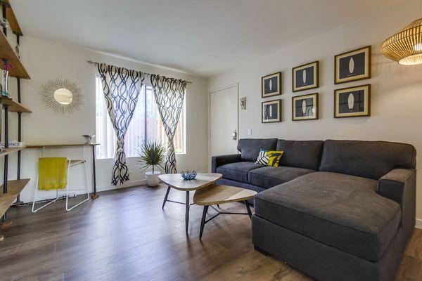 Organized Home Therapy