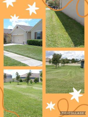 All In 1 Pool Maintenance & Lawn Services