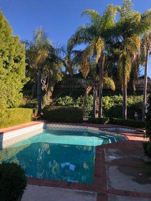 Dominguez Tree Trimming