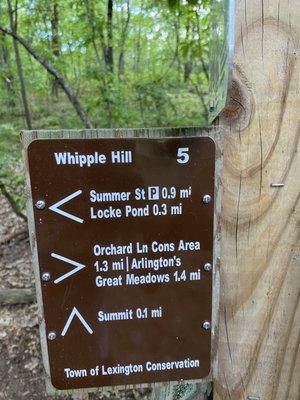 Whipple Hill