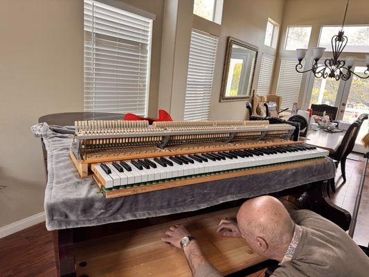 Michael's Piano Service