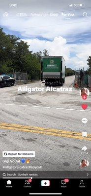 Sunbelt supporting alligator Alcatraz