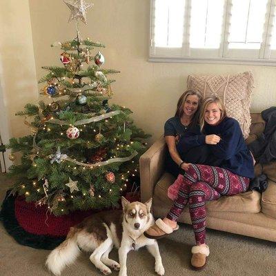 It's thrilling after a dog can be trained to be a family member! Dogs want to please and want to be apart of a family. Good boy!