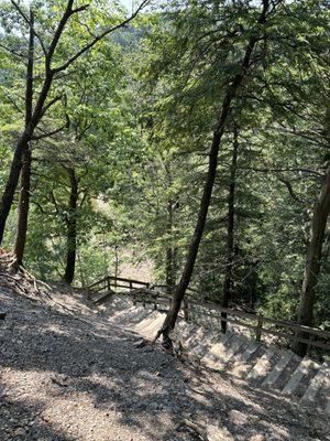 Hell Hollow Wilderness Area