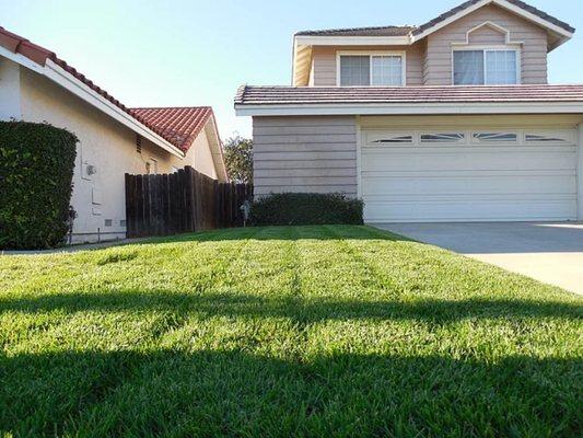 Fredy's Landscaping & Gardening