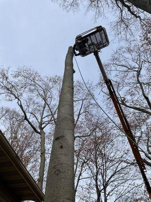 Large Removal, "Next Too House,"!!!