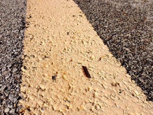 Paul Douglas Forest Preserve