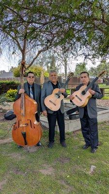 Mariachi & Trio Fabuloso