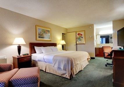 Enjoy our spacious and comfortable accommodations
