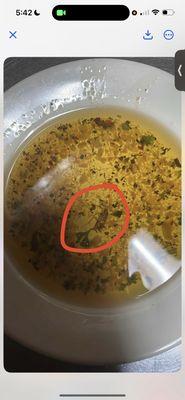 Roaches!!!!!!! Don't come!!!!