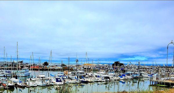 Moss Landing Park