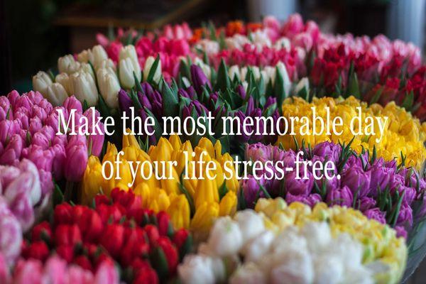 Michele's Weddings of Distinction