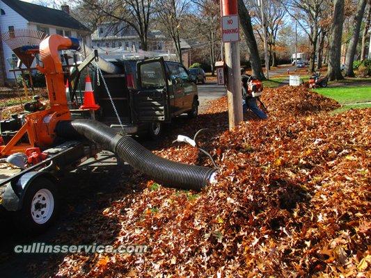 Cullins Service Landscaping, Inc