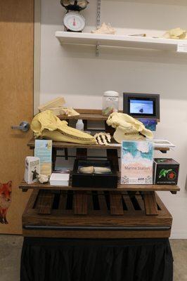 Emerald Coast Wildlife Refuge