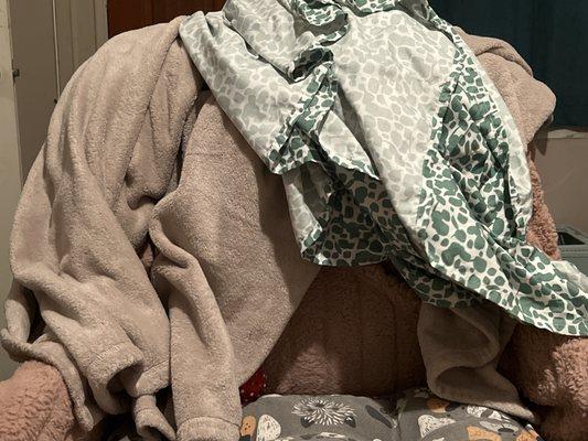 Garfield Grove Coin Laundry